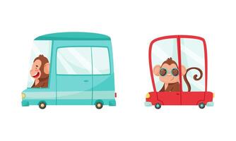 Cute monkey character in transport set. Funny jungle animal driving bus and car cartoon illustration vector