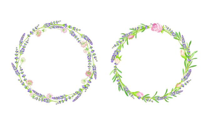Elegant frames with rose and lavender flowers set. Wedding, birthday, valentines day decor element, greeting card design illustration