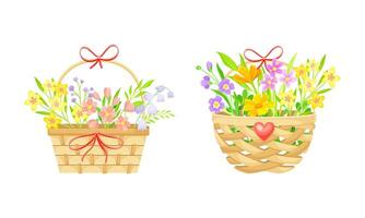 Bouquets of summer or spring flowers in wicker baskets set illustration vector
