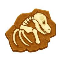 Dinosaur fossil bones. Ancient remains of dinosaur skeleton illustration vector