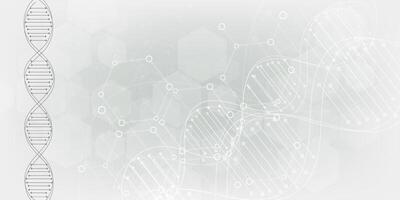 Gray scientific background with DNA line and hexagon. modern design vector