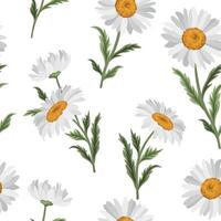 Seamless pattern with chamomile flowers on white background. vector