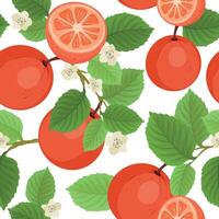 Seamless pattern with grapefruit brunch with leaves and flowers, whole and slice vector