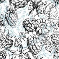 Raspberry leaves, dew drops flying in water splash, ripe summer garden forest berry loganberry hand drawn in ink. Isolated seamless pattern tile. Home preserves, stationery, menu, recipe book vector