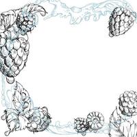 Raspberry berries leaves flying in dew drops, water splash, ripe garden dewberry cloudberry mulberry loganberry hand drawn in ink. Isolated border square corner frame. Farmers market stationery vector