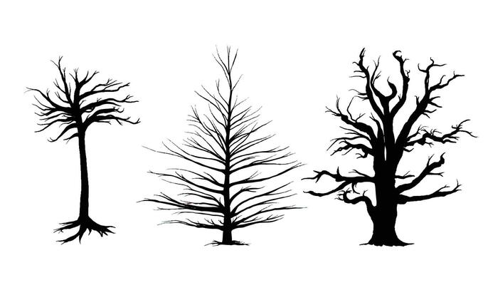 Dry Leafless Trees Silhouette in Black and White Illustration