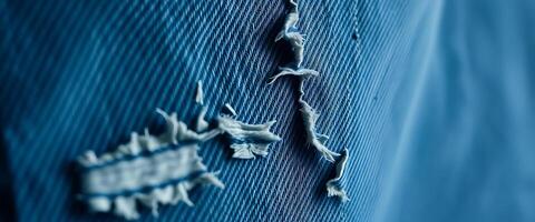 close up of a piece of cloth with a lizard on it photo