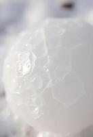 close up of a snow ball with water droplets on it photo