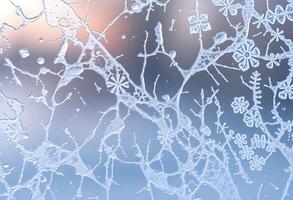 close up of a frosted window with flowers on it photo
