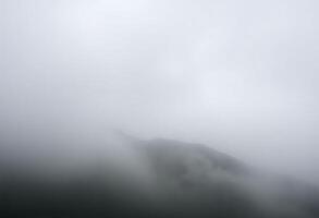 foggy mountain with a single tree in the foreground photo
