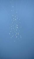 A spider web with many small white dots in it photo