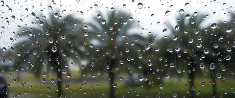 rain drops on a window with palm trees in the background photo