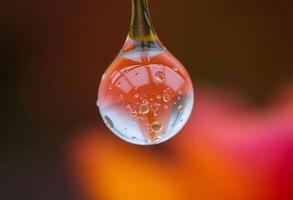 A drop of water hangs from a string photo