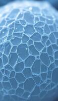 close up view of a ball of ice photo