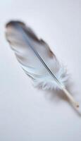 close up of a feather on a table photo