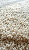 close up view of a carpet with a lot of white stuff on it photo