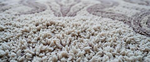A close up of a carpet with white and brown shaggy texture photo