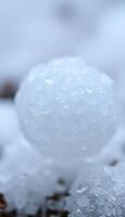 snowball sitting on top of a pile of snow photo