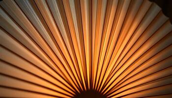 close up of a fan with a light shining on it photo