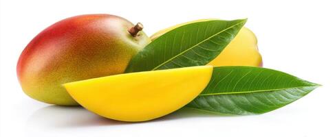 The vibrant mango showcasing its luscious fruit and fresh green leaves. photo
