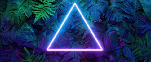 The Glowing Triangle Surrounded by Lush Tropical Leaves and Ferns. photo