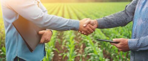The handshake between farmers in a vibrant agricultural field. photo