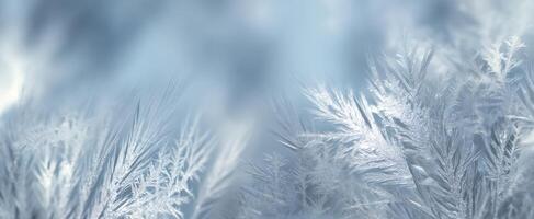 The Frosted Patterns of Ice in a Serene Winter Landscape photo