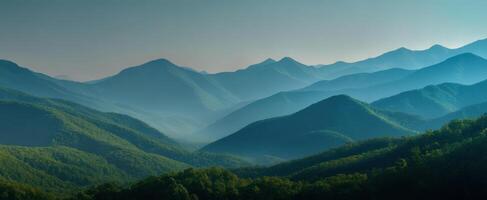 The serene beauty of mist-covered mountains in lush green landscape photo