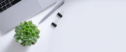 The modern workspace featuring a succulent plant and office accessories. photo