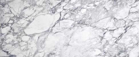 The Elegant White Marble Surface Featuring Distinctive Gray Veining Patterns photo