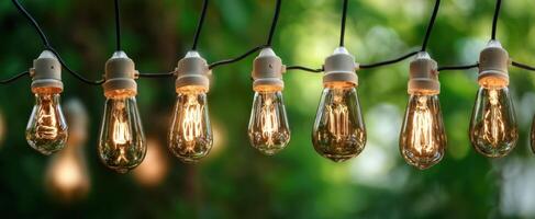 The string of vintage light bulbs glowing beautifully in a lush, green backdrop photo