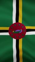 Dominica Waving Flag in Vertical Orientation. Realistic Flag Animation. Seamless Loop Background. video