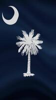 South Carolina State Waving Flag in Vertical Orientation. Realistic Flag Animation. Seamless Loop Background. video
