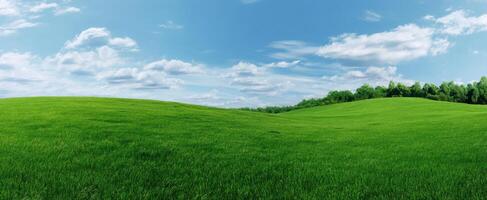 The Expansive Green Hills Under a Bright Blue Sky with Fluffy Clouds photo