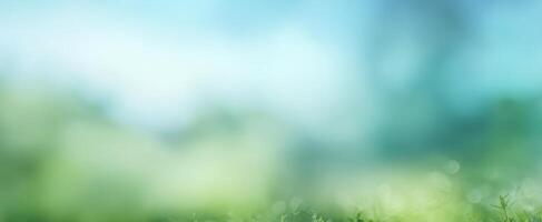 The beautiful blurred background of lush greenery and soft blue sky photo