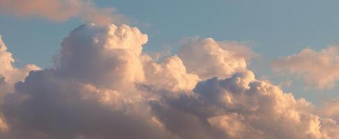 The beautiful fluffy clouds illuminated by soft sunset hues in the evening sky. photo