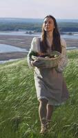 Young woman in simple country clothes walks through field covered in bright green summer grass, carrying basket full of fresh harvests of various vegetables rich in vitamins. video