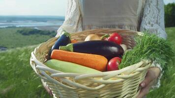Farmer dressed in traditional and rustic clothes stands in middle of lush green field. In her hands, she holds basket filled with variety of fresh vegetables and herbs, showing off recently harvested environmentally friendly harvest. video