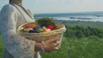 Young woman is carrying basket filled with variety of fresh, ripe organic vegetables and herbs, such as tomatoes, squash, eggplant, and dill. Behind her, beautiful summer landscape with rivers and fields. video