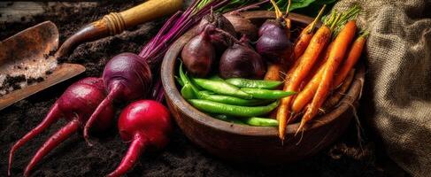 The vibrant assortment of fresh vegetables ready for culinary creation. photo