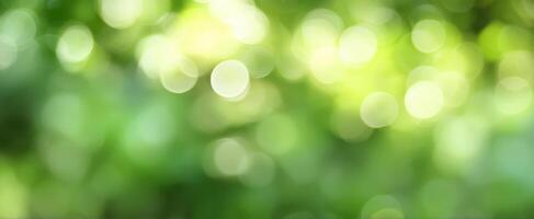 The blurred green background with beautiful bokeh lights in nature. photo