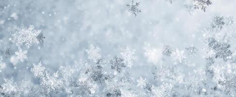 The delicate beauty of falling snowflakes in a wintery landscape photo