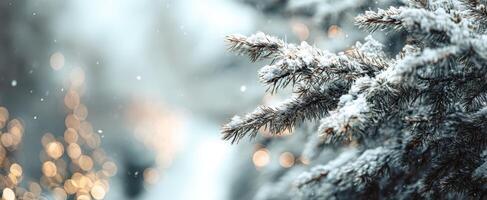 The Frosted Branches of a Snow-Covered Tree in Winter Wonderland photo