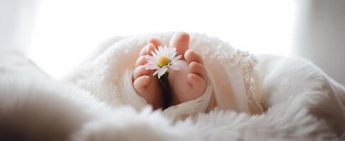 The adorable baby feet adorned with a delicate flower in soft blanket setting. photo