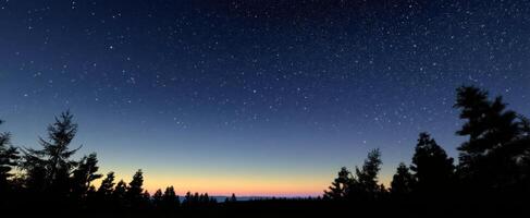 The night sky is filled with stars and the moon photo
