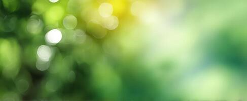 The beautiful bokeh background of vibrant green foliage and soft sunlight photo