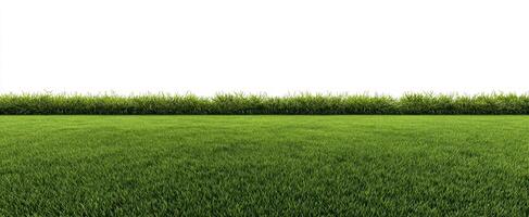 The lush green grass field with a vibrant backdrop of nature. photo