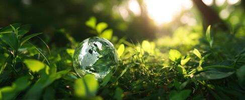 The glass globe resting among vibrant greenery in a sunlit forest. photo