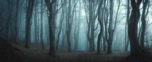 The Enigmatic Forest Shrouded in Ethereal Mist and Whispering Shadows photo