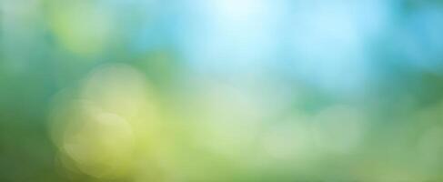 The serene blurred background with soft bokeh and vibrant colors. photo